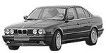 BMW E34 P1CAE Fault Code